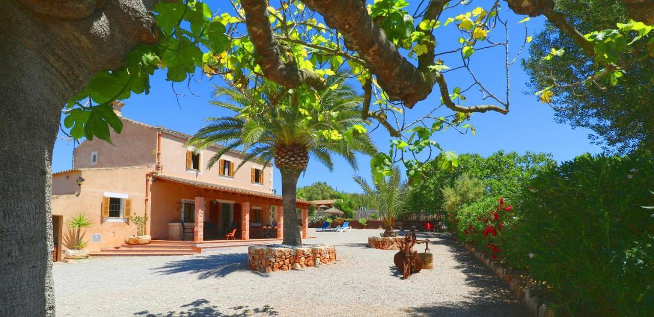 Alcoraia Villa Campos  Exteriör bild